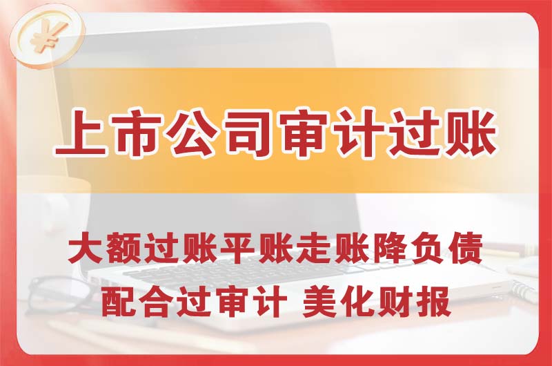 沈北上市公司审计过账